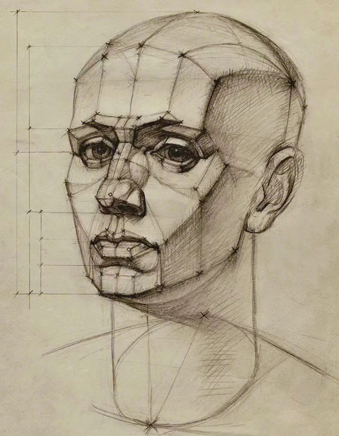 人脸结构图解素描块面图片