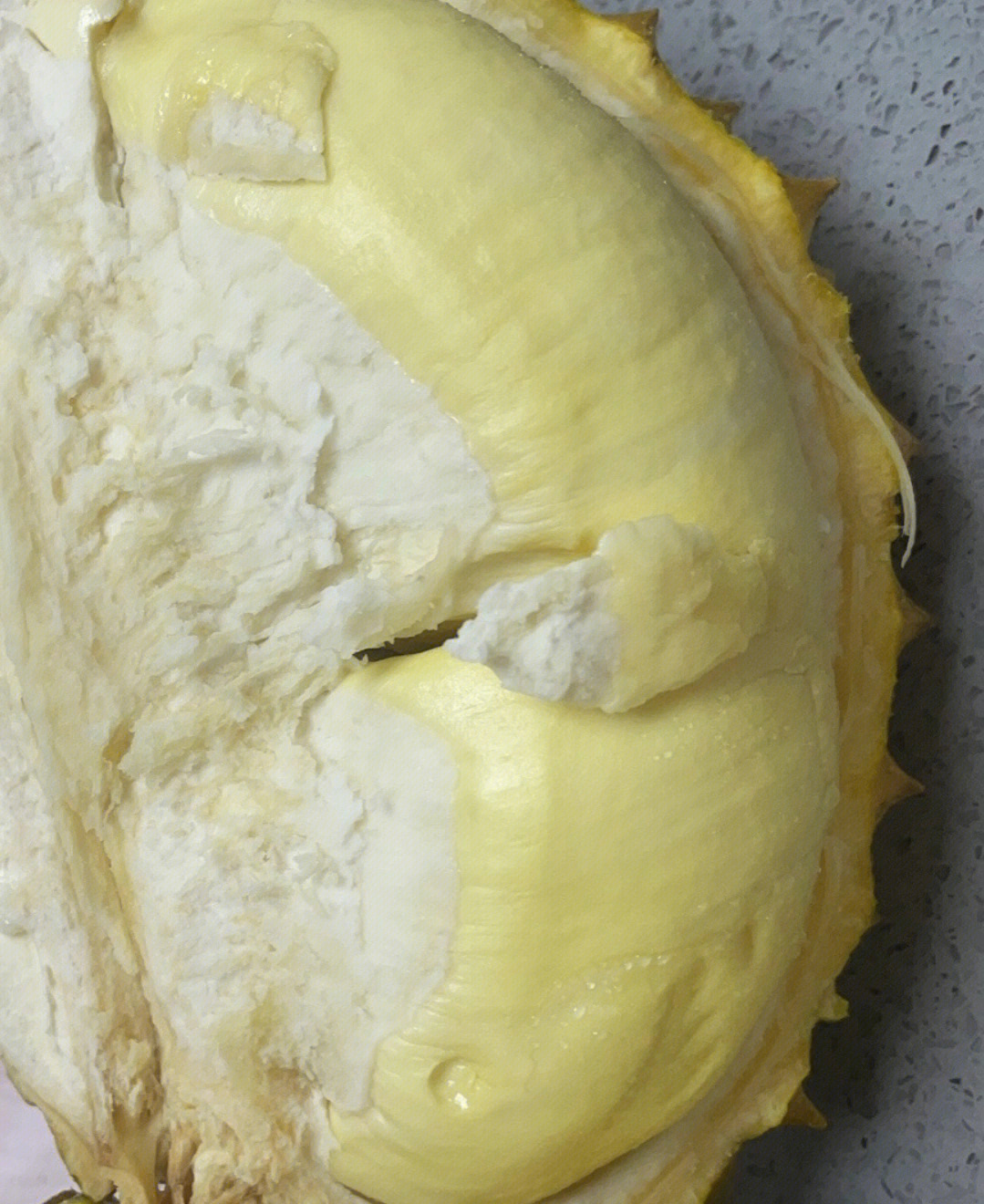 榴莲蚯蚓干图片