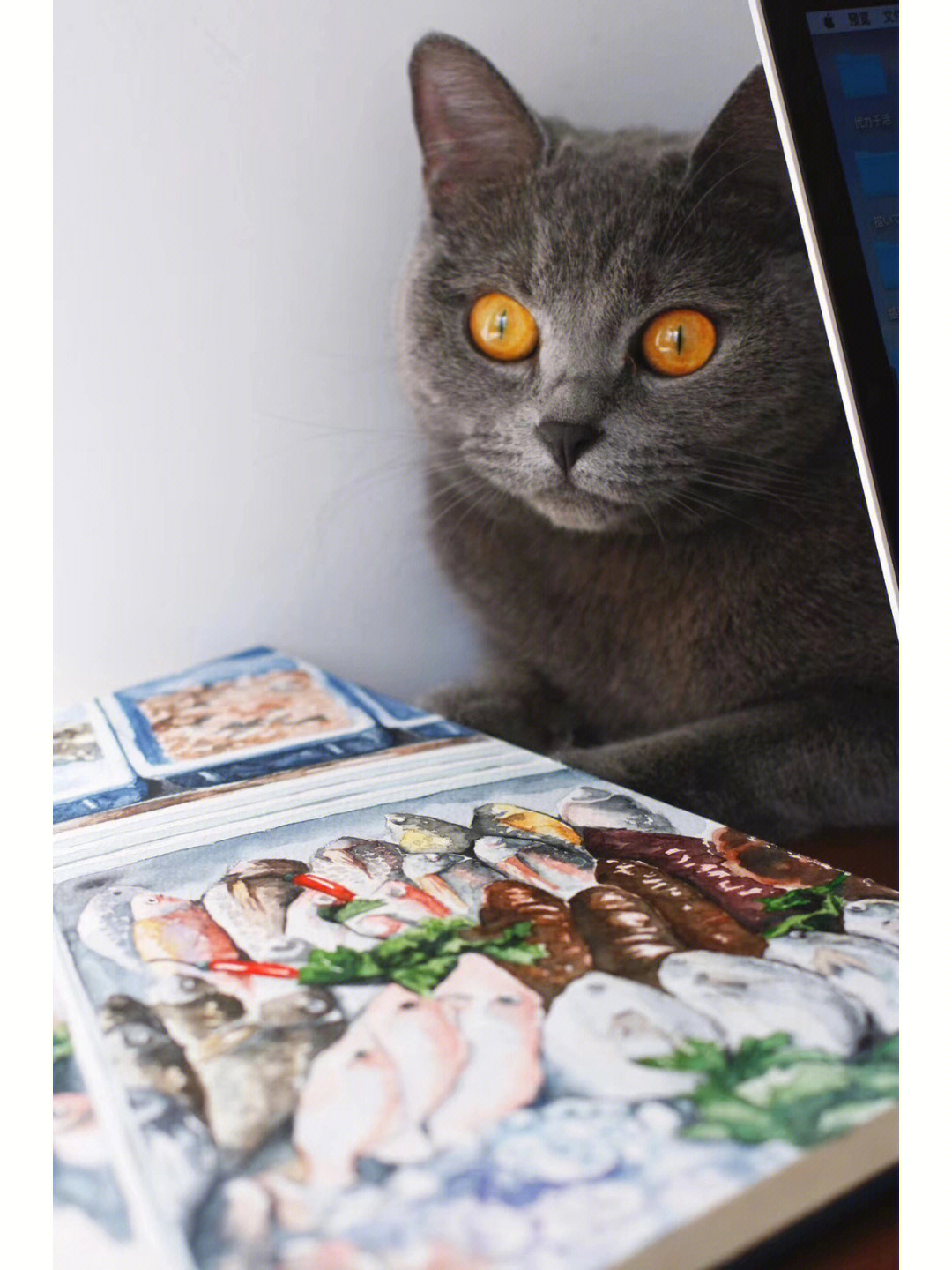 麻麻咱家需要买一个冰柜冻满我爱的鱼鱼～959595#猫#喵星人