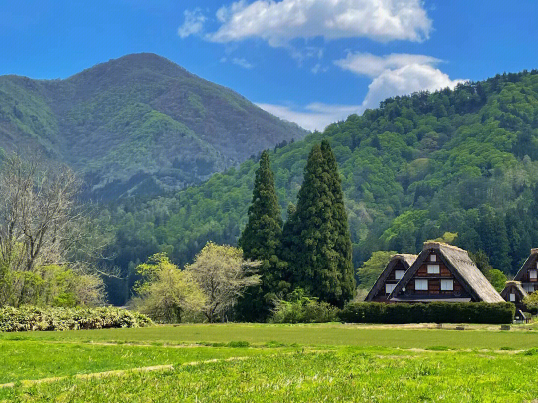 青川县白家乡图片