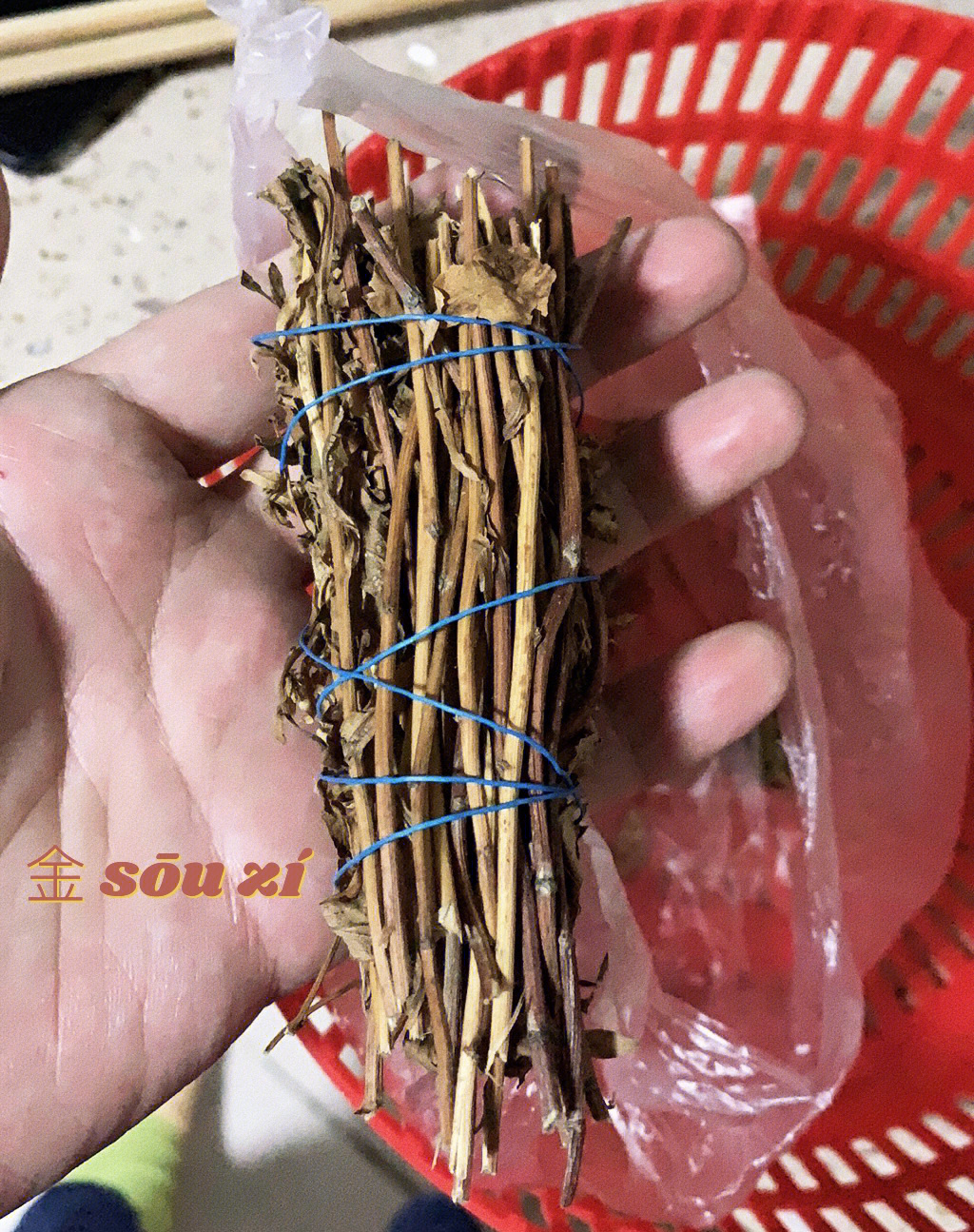 化金板草药治图片