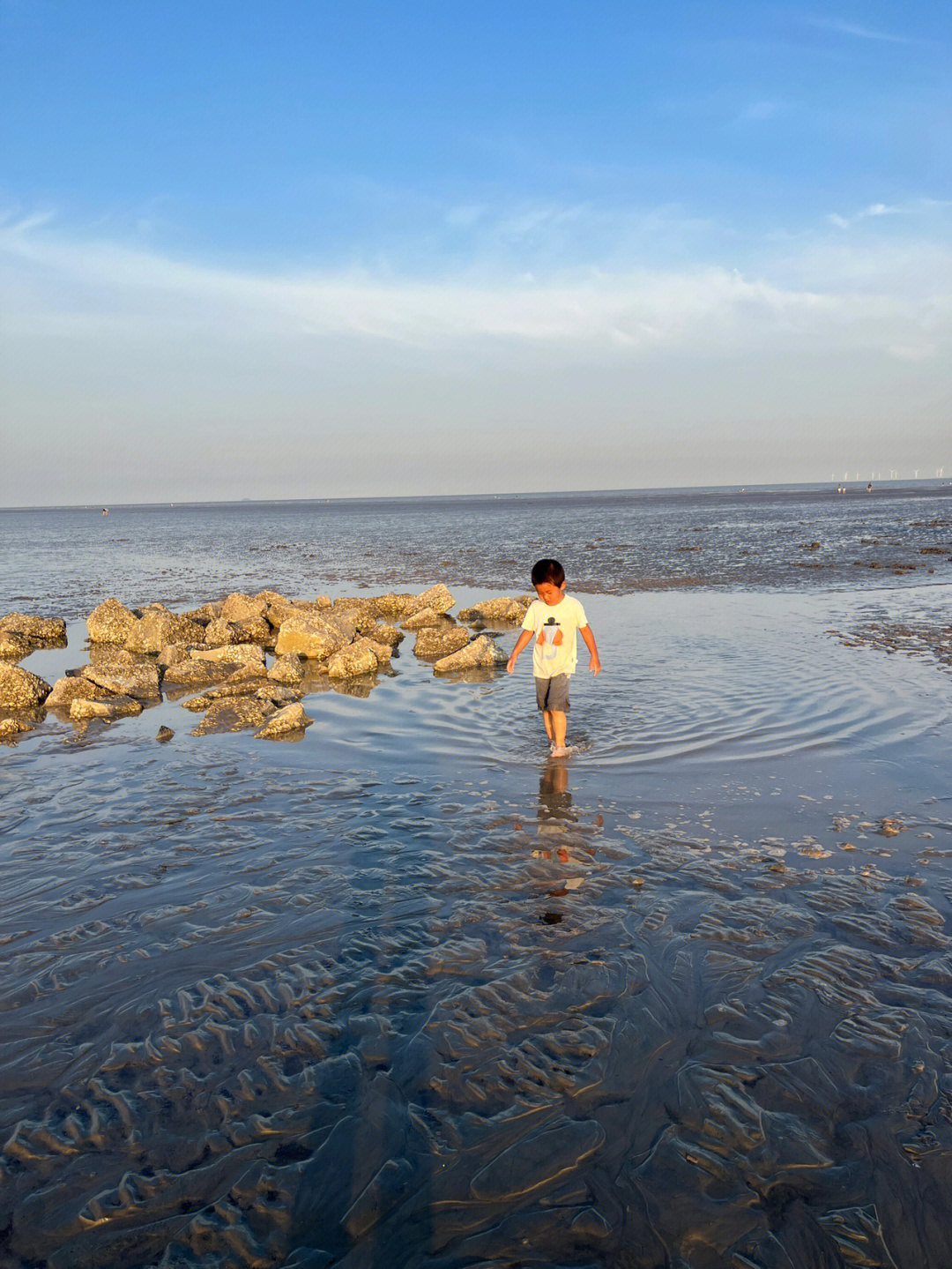 南汇嘴赶海钓龙虾滴水湖挖沙