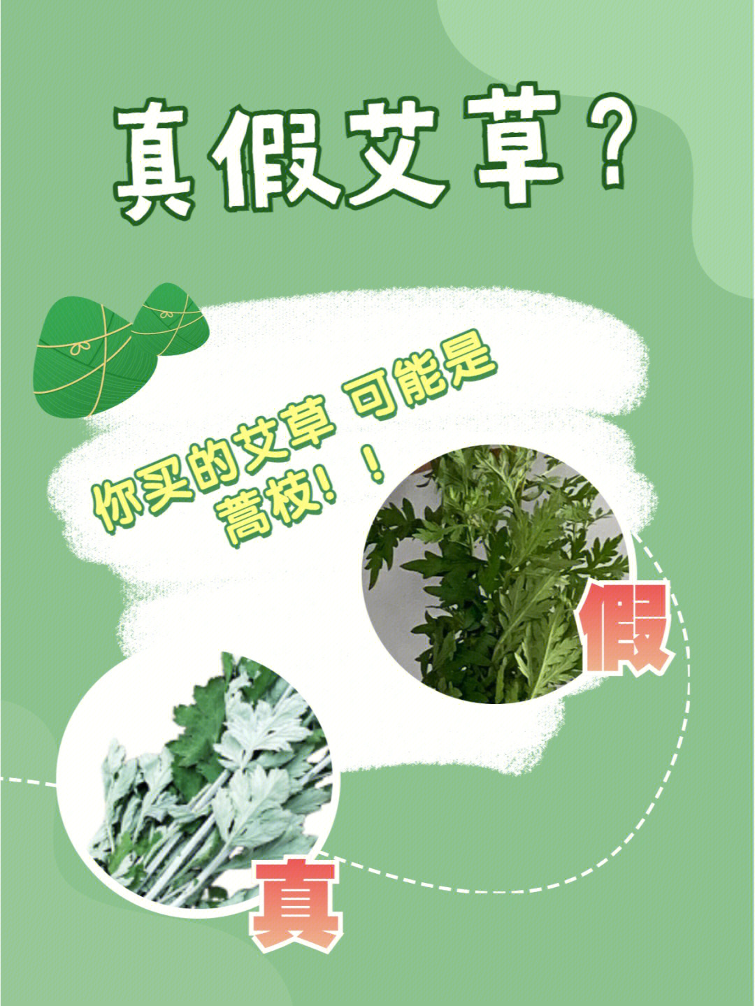 蒿枝烟杆图片