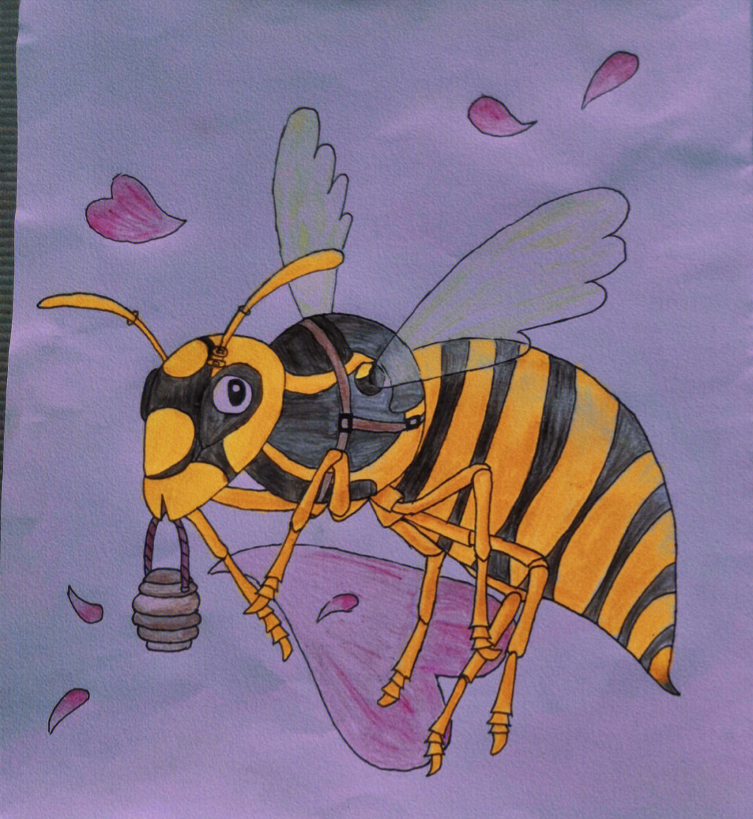 黄蜂简笔画图片带颜色图片