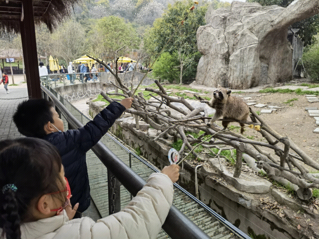 宁波雅戈尔动物园攻略图片