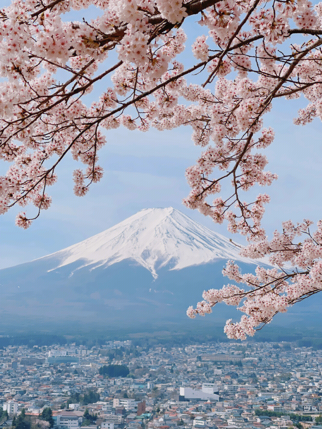 富士山下谐音图片