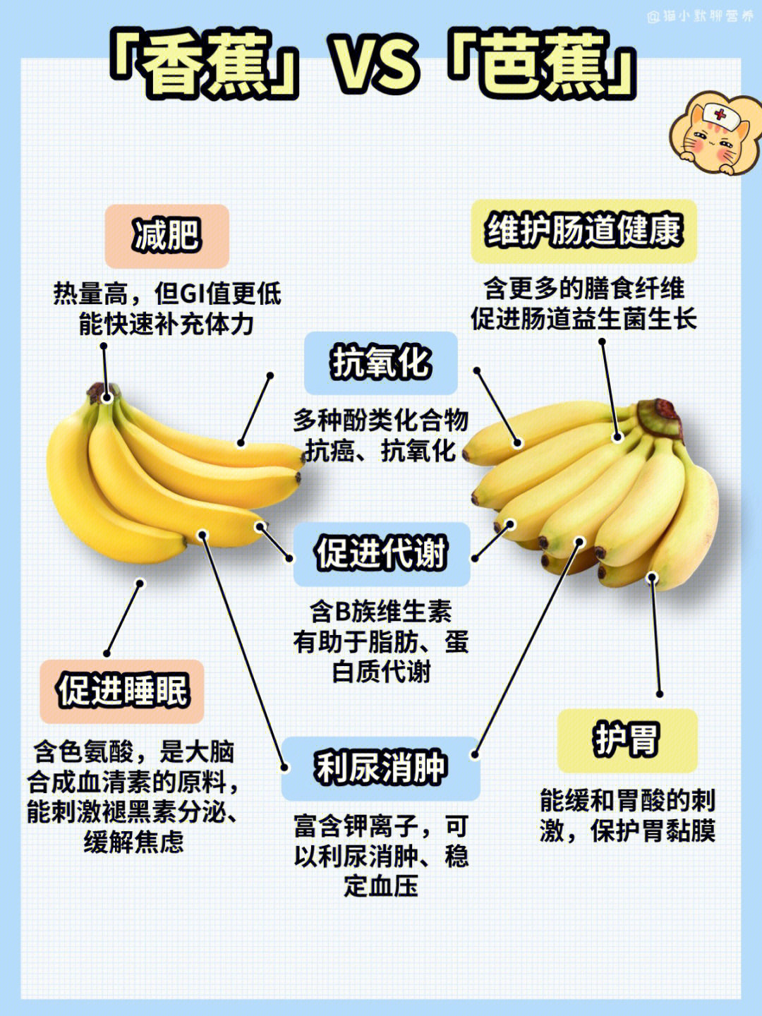 香蕉比芭蕉更加香甜软糯从营养价值上,两者成分相似,但略有不同[种草r