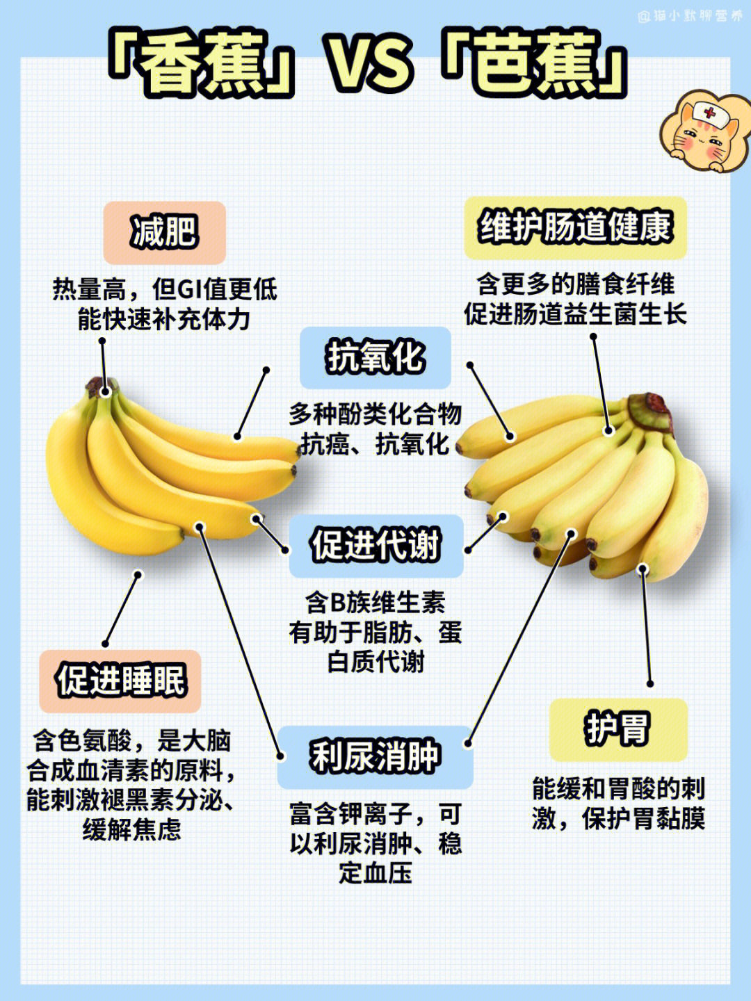 香蕉的功效与作用图片