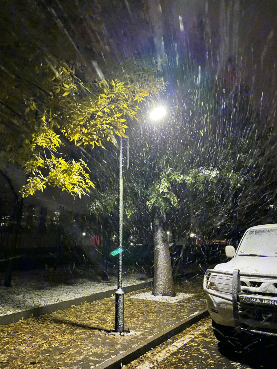 晚来天欲雪能饮一杯无