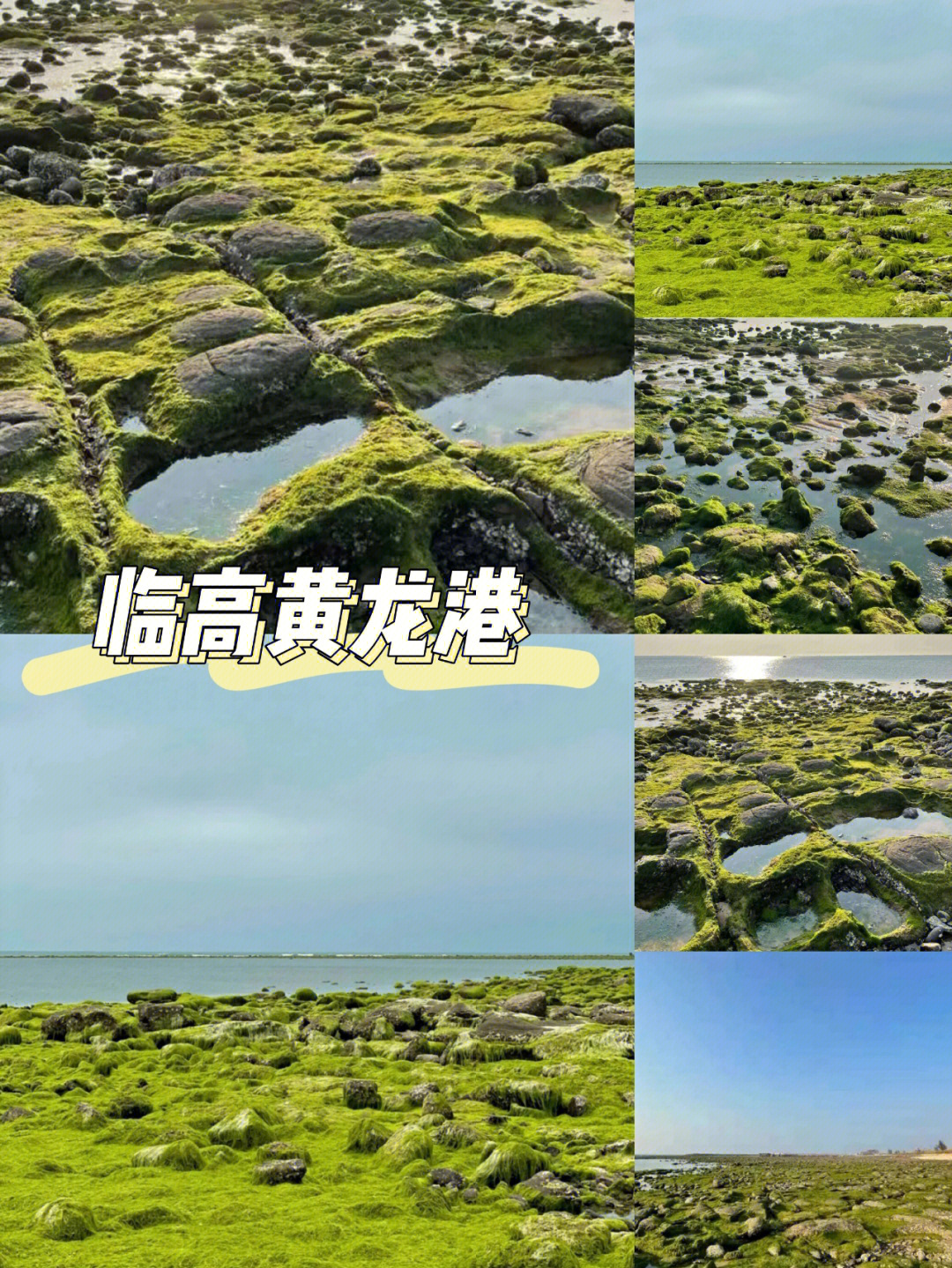 大王岭绿野仙踪旅游区图片