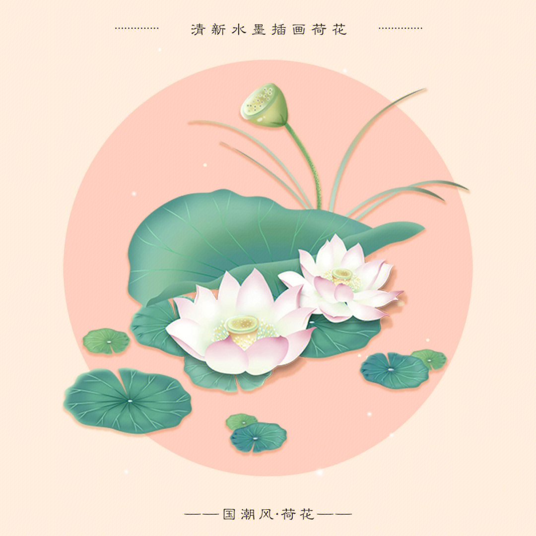 中国风手绘清新水墨荷花荷叶花卉植物插画