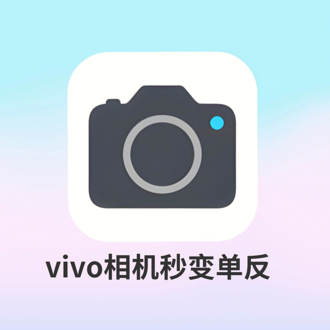 vivox30pro相机传感器图片