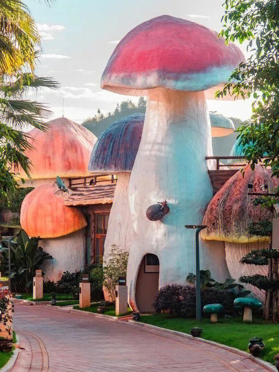 设计灵感来源于黔西南特有野生菌96酒店一共有16栋大蘑菇,周围围绕