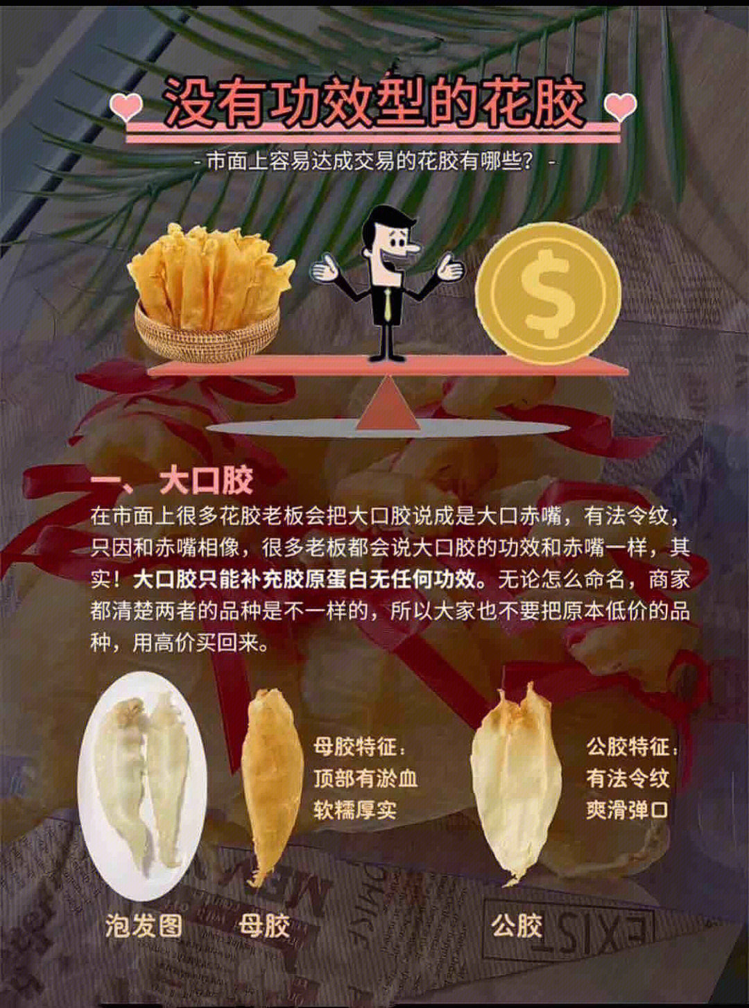 花胶并不是所有的都有功效哦