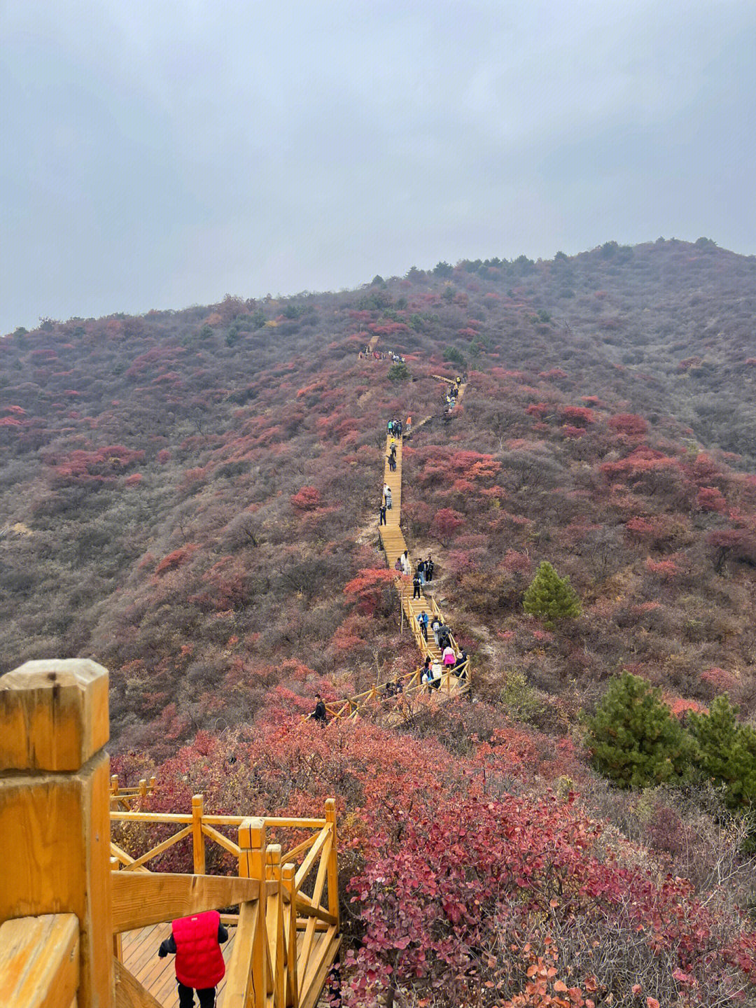 潭柘寺红叶最佳观赏期图片