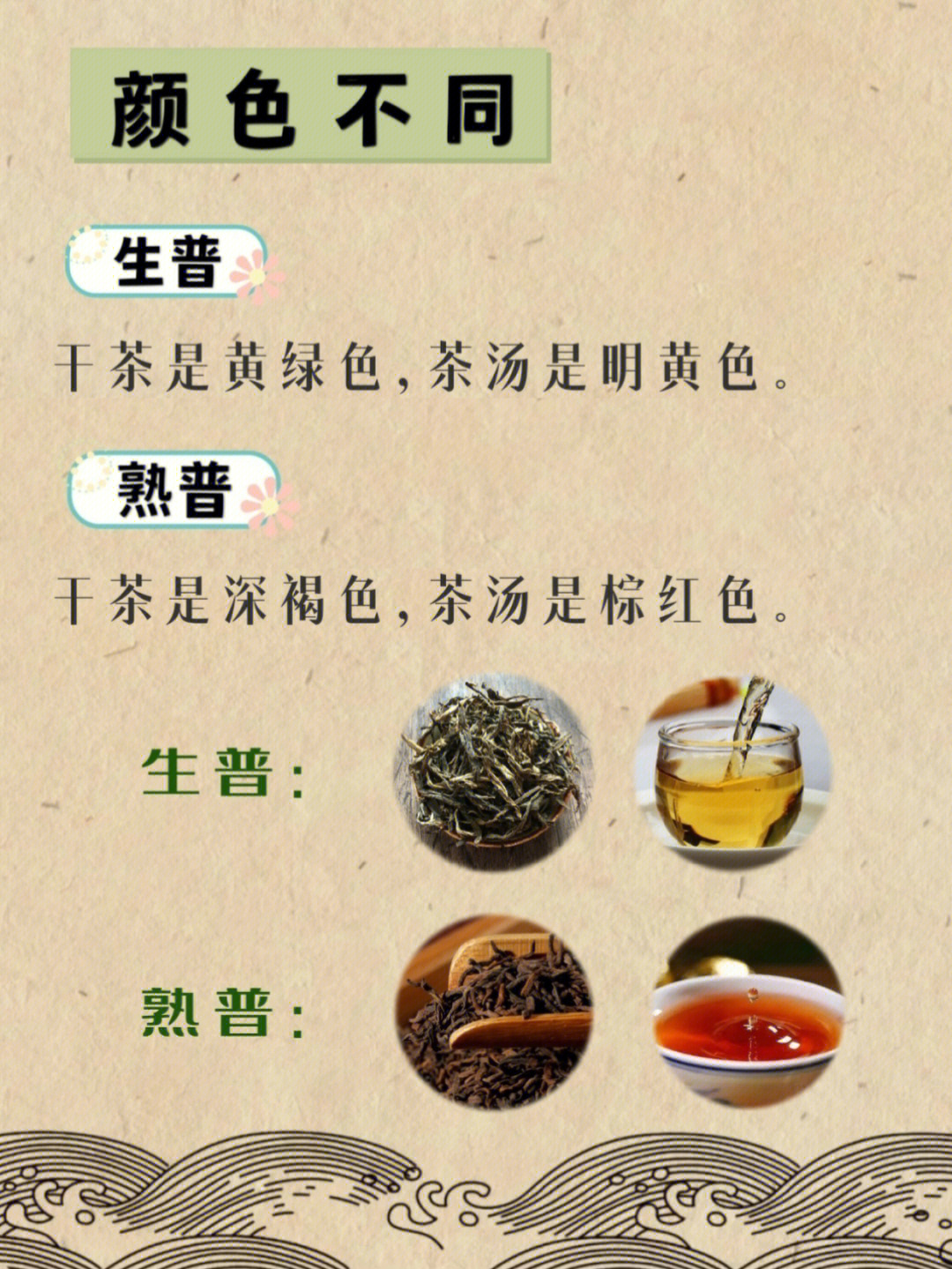 普洱茶干货生普和熟普的区别