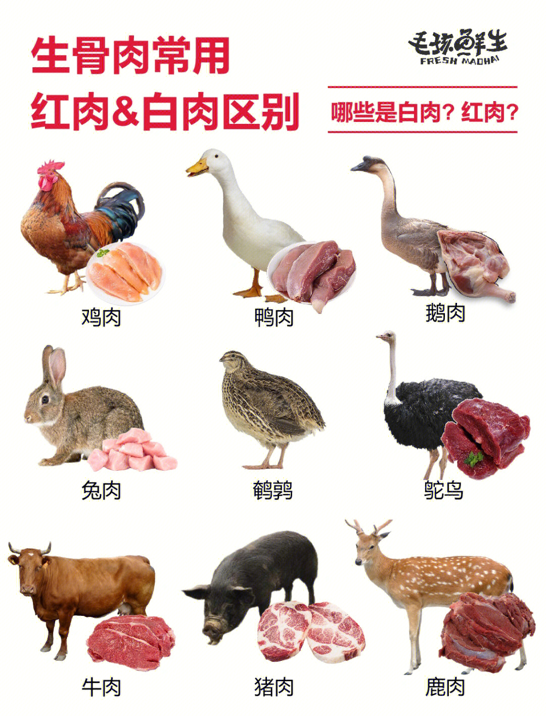 肉类品种大全名字图片
