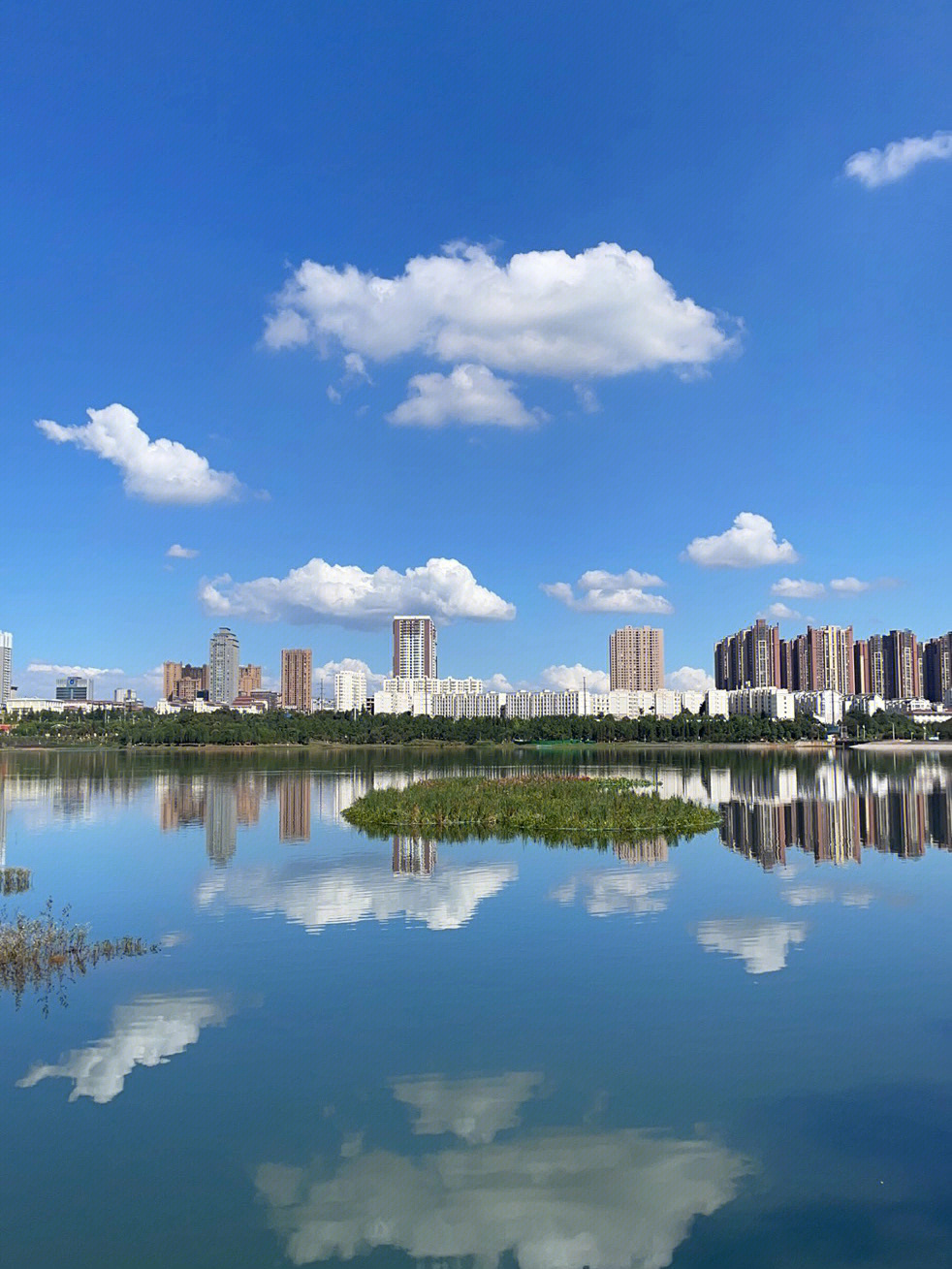 饮料_小众_防晒_零食_景点_宁湖公园攻略_湿地公