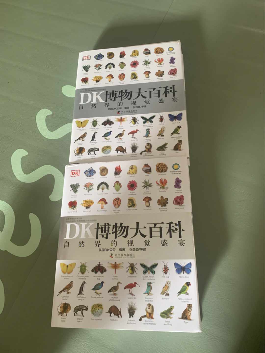 dk博物大百科真假辨别图片