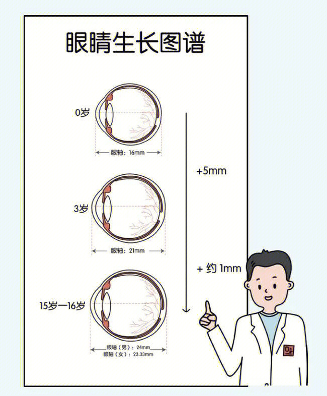 散瞳后瞳孔大小标准图图片