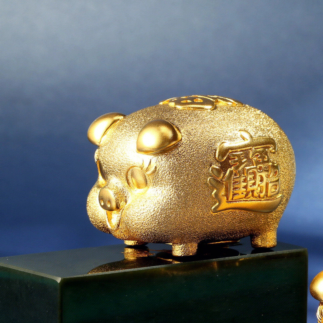 中国黄金小金猪图片