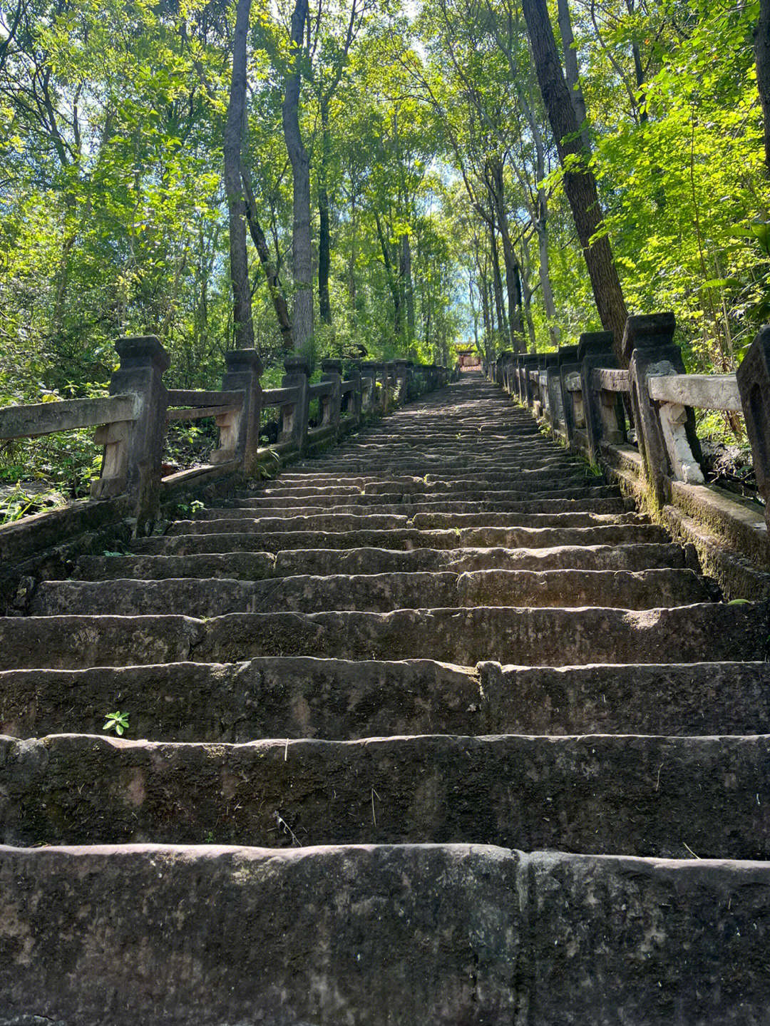 成都周边夏日登山好地方云顶山