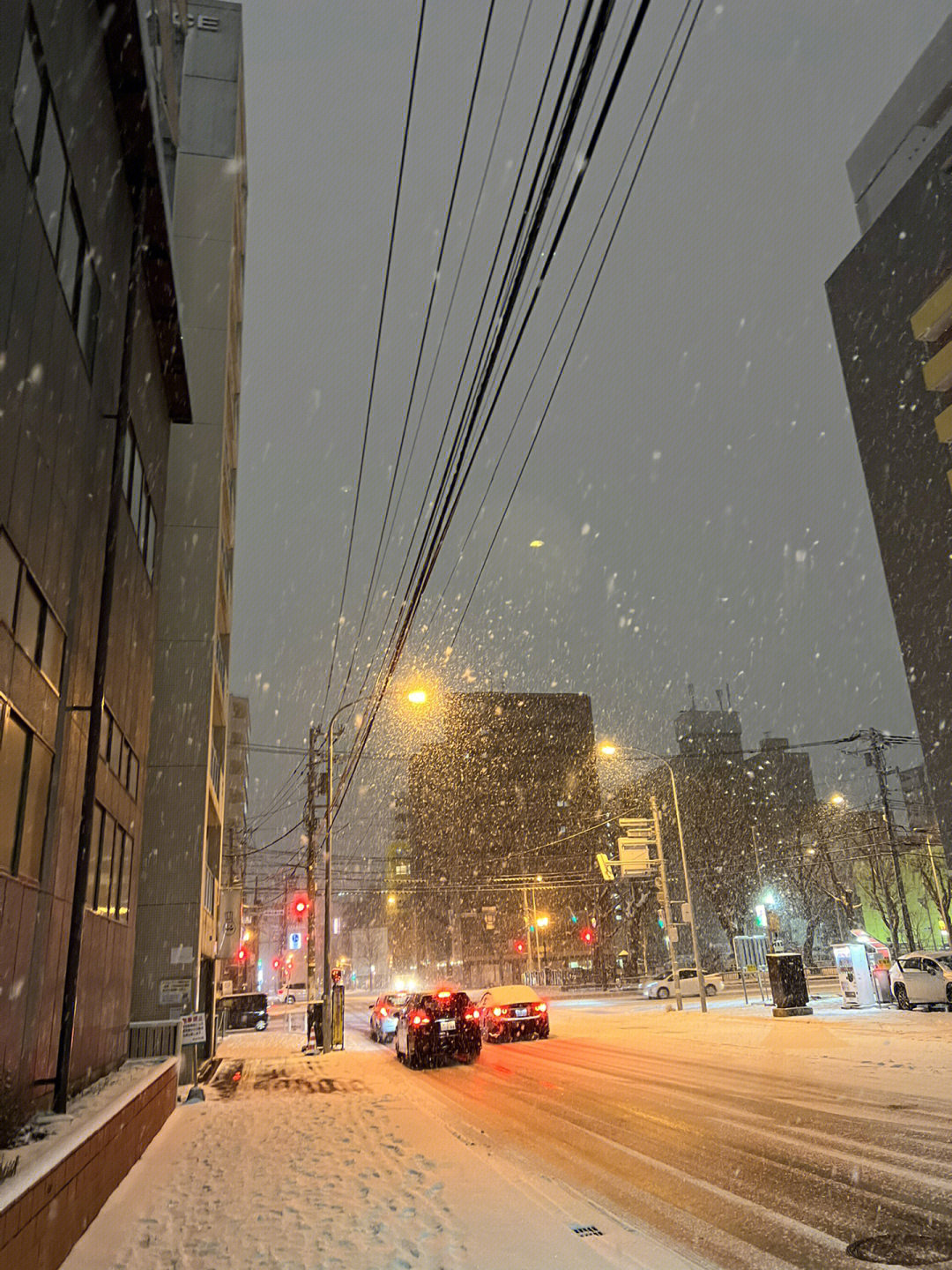 札幌的雪图片