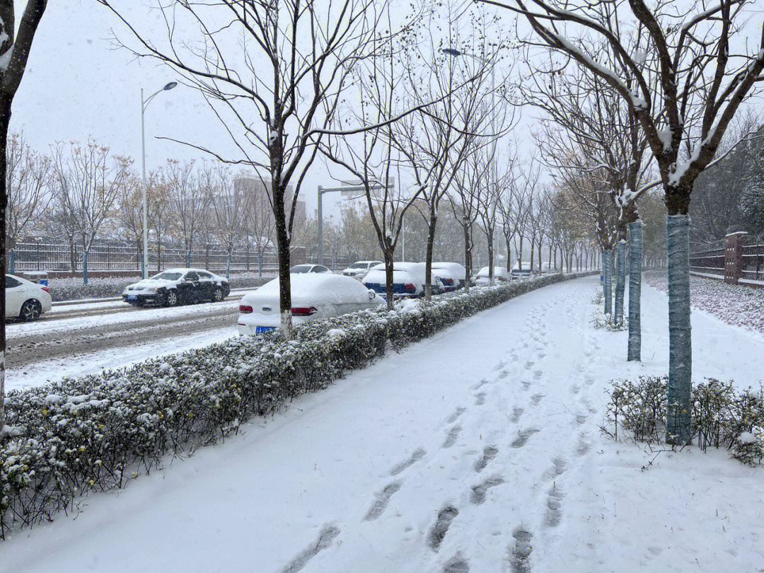 昆明下雪了图片