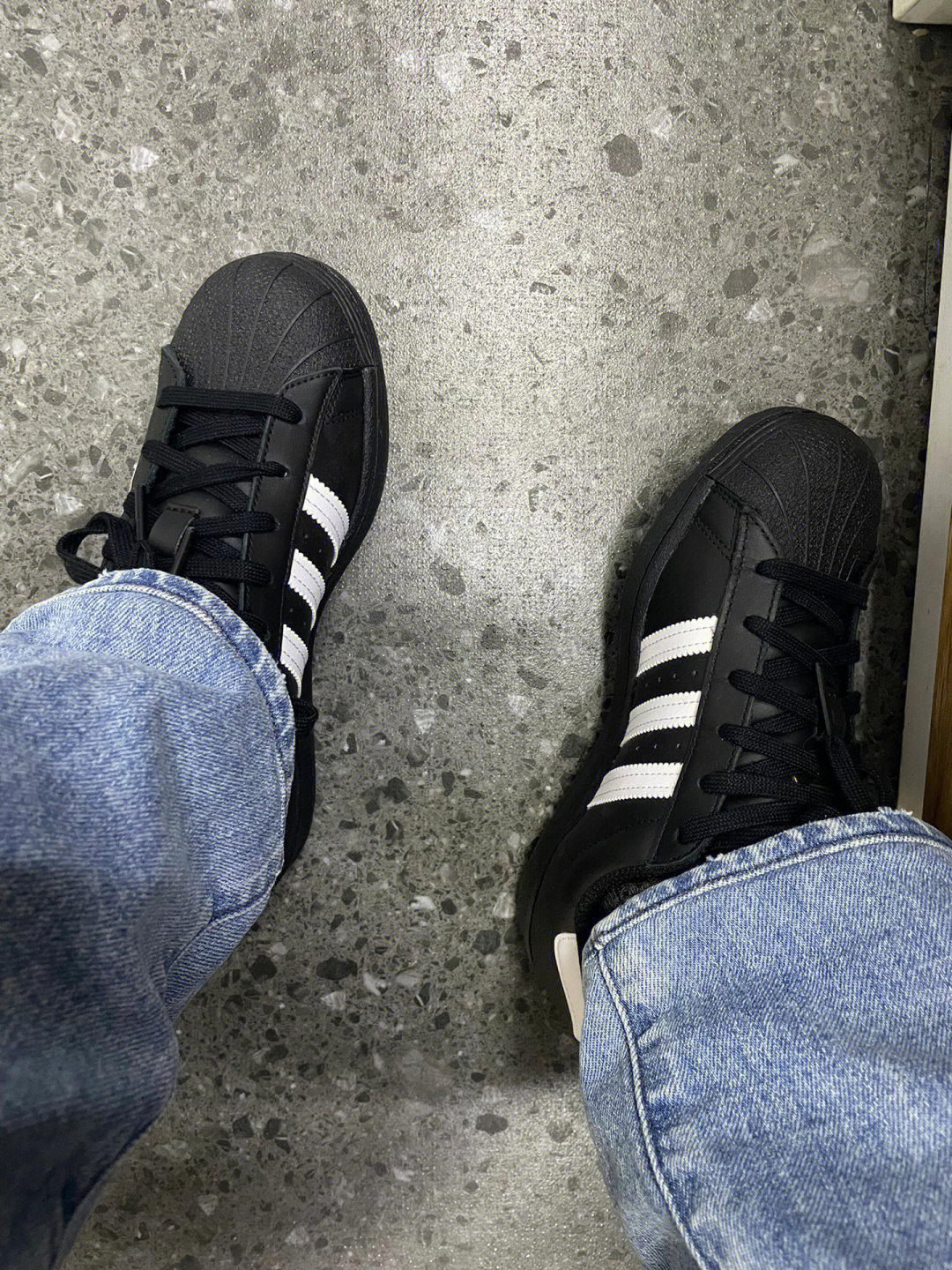 adidas三叶草金标贝壳头