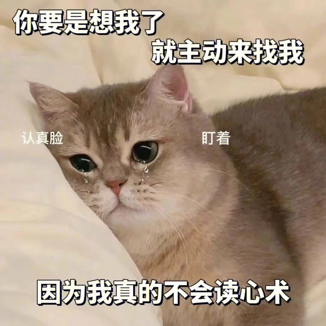 发给男朋友的表情包