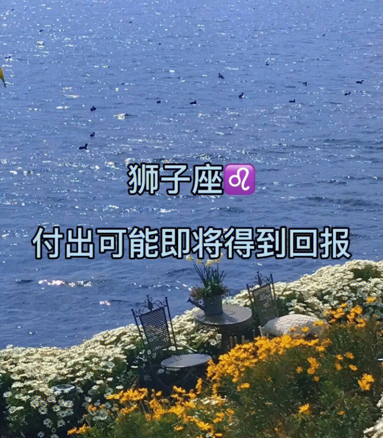 狮子座78付出等待总有回报