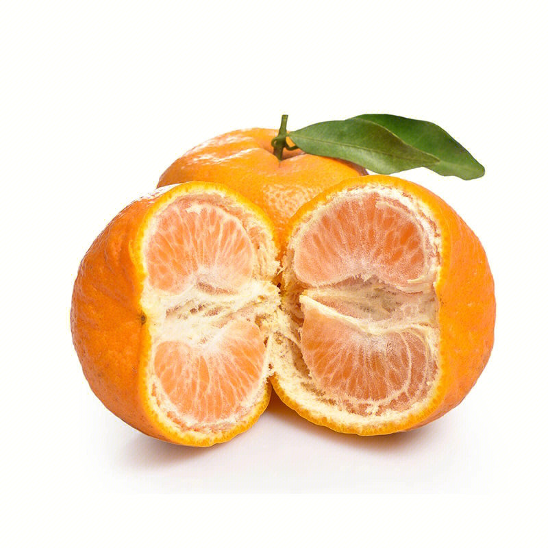 小时候的味道四川高山椪柑柑橘