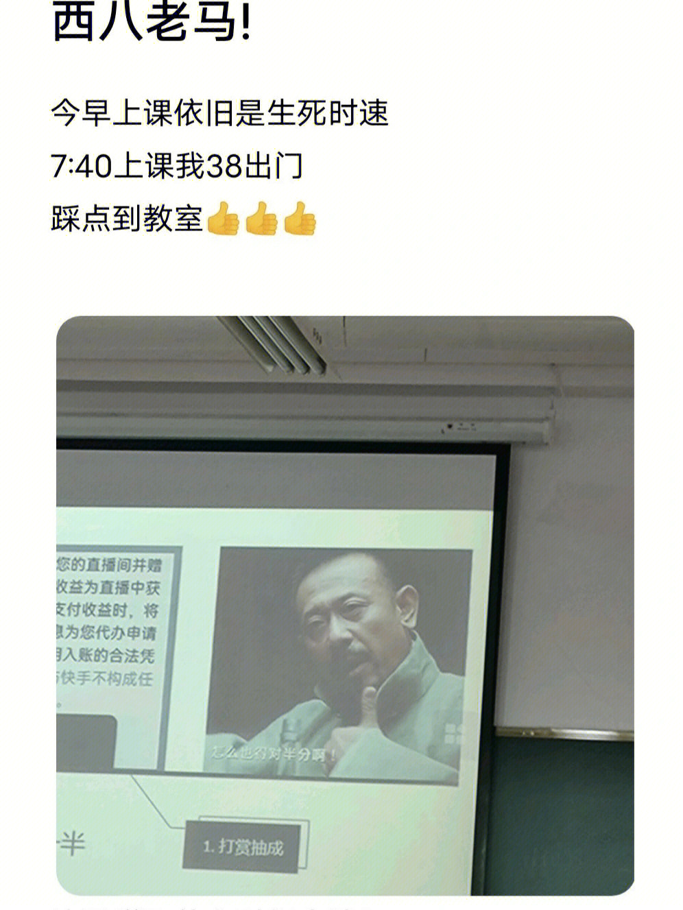 铛铛猫西八老马图片图片