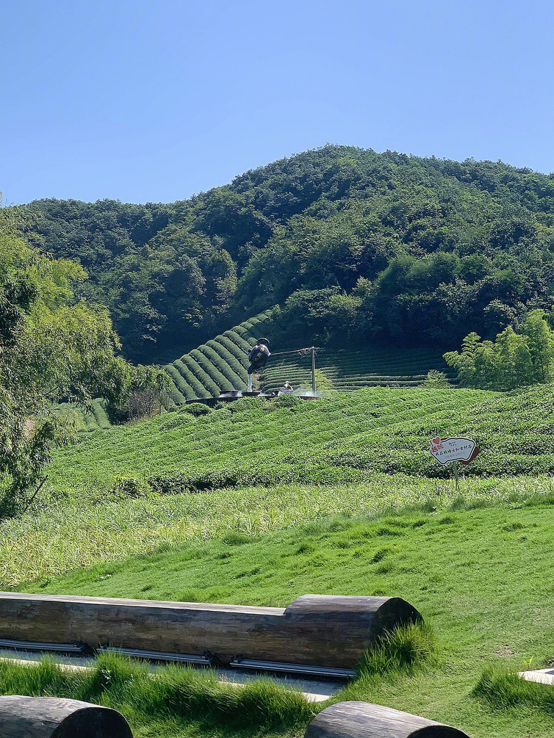 绍兴市越城区云松村图片