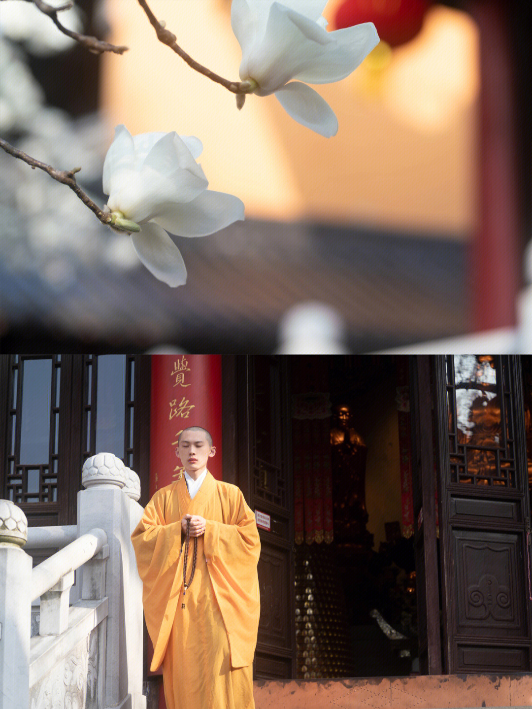 南京灵谷寺和尚图片
