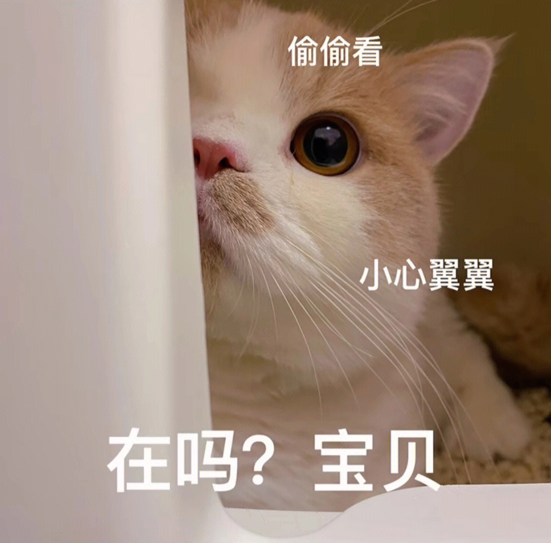 猛梨表情包