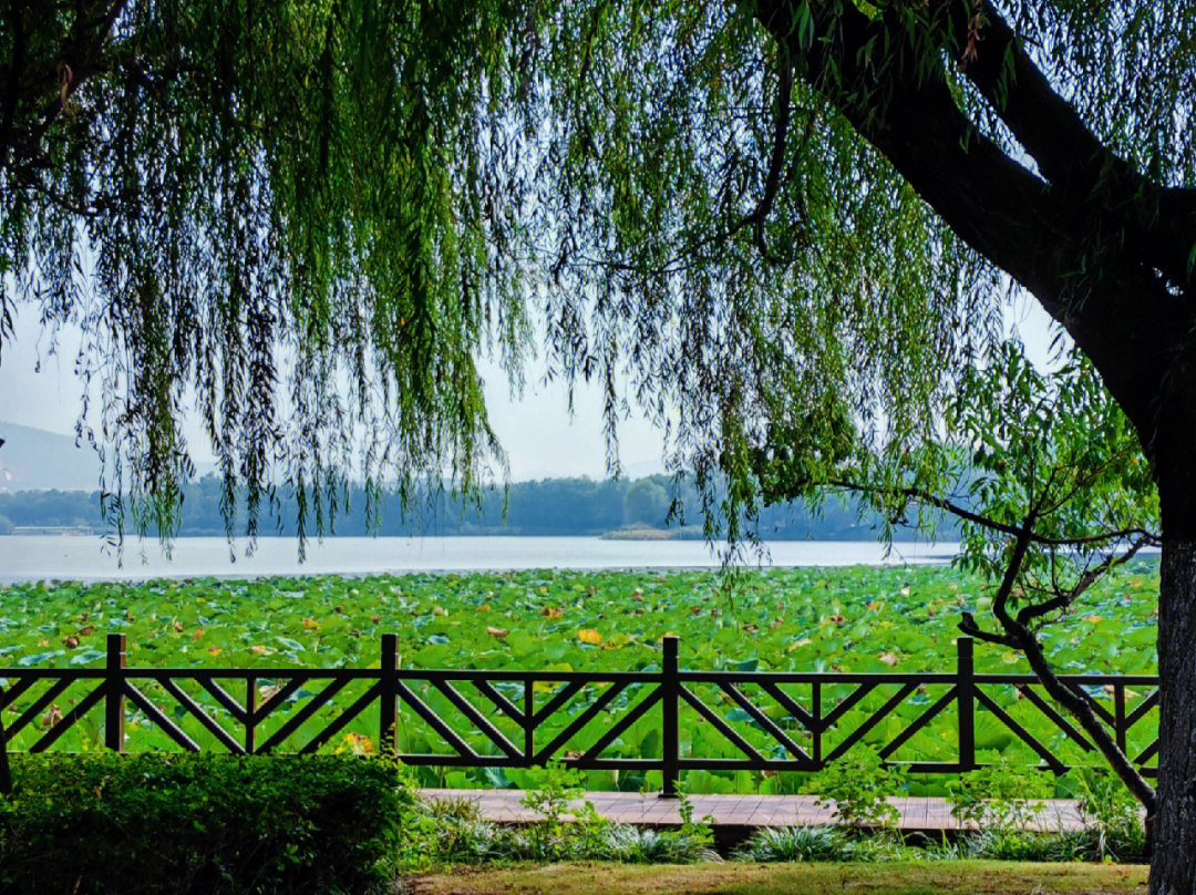 徐州滨湖公园
