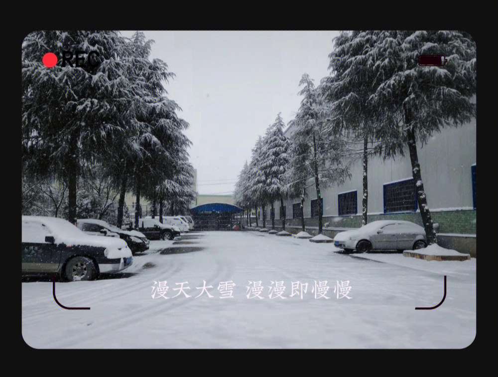 winter78各人下各人的漫天飞雪76