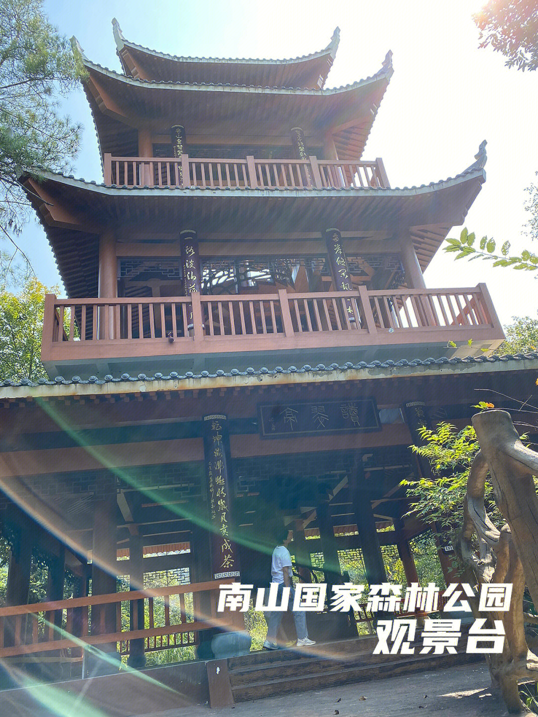 东阳南山森林公园图片