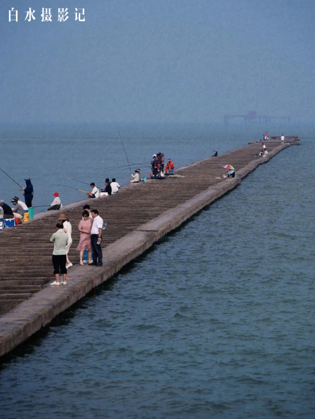 旅行不花钱的小众玩海攻略东营孤东海堤