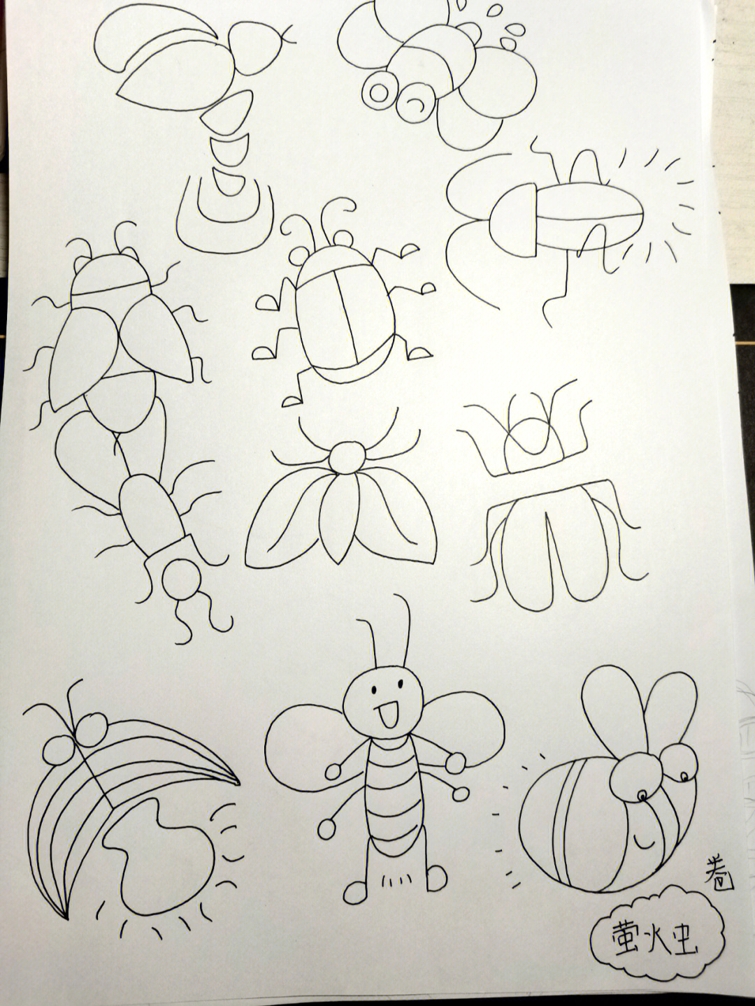 昆虫王国简笔画萤火虫图片