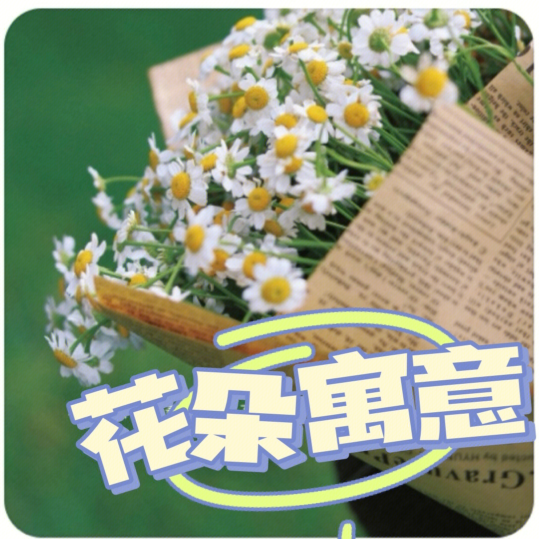 花朵寓意①春天是适合表白的季节哦