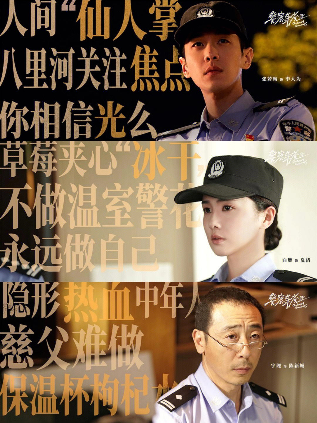 毛俊杰演警察的电视剧图片