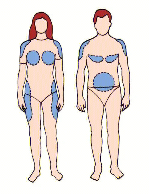 1,脂肪堆积部位不同女性的脂肪更容易堆积在手臂,腰腹部,臀部,腿部
