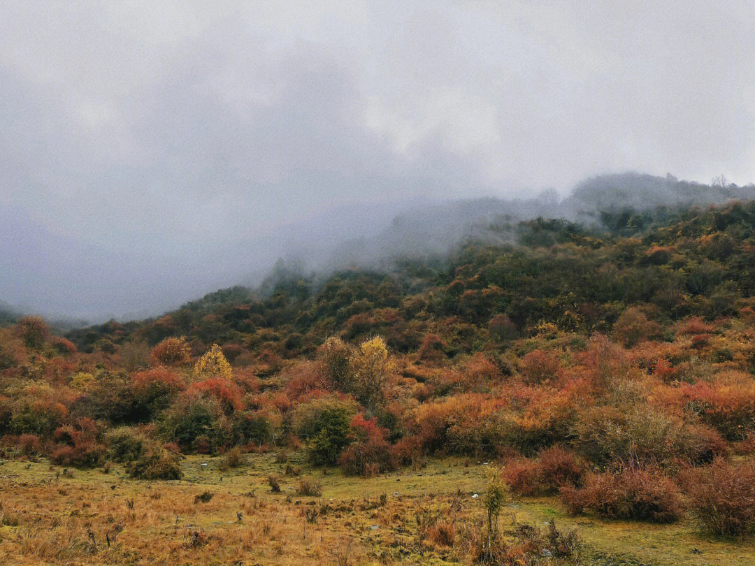 老鸦山