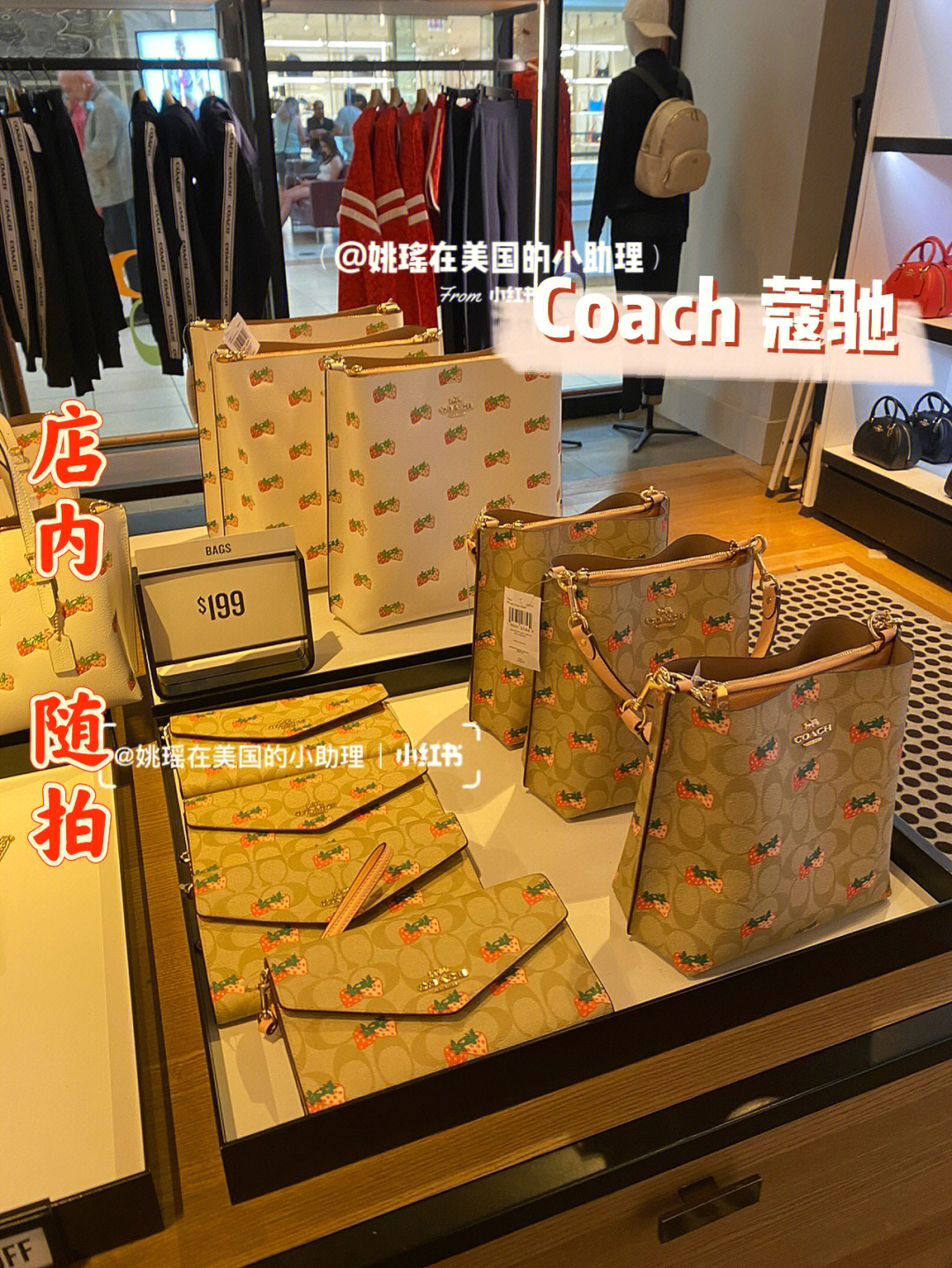 coach奥莱和专柜款标致图片