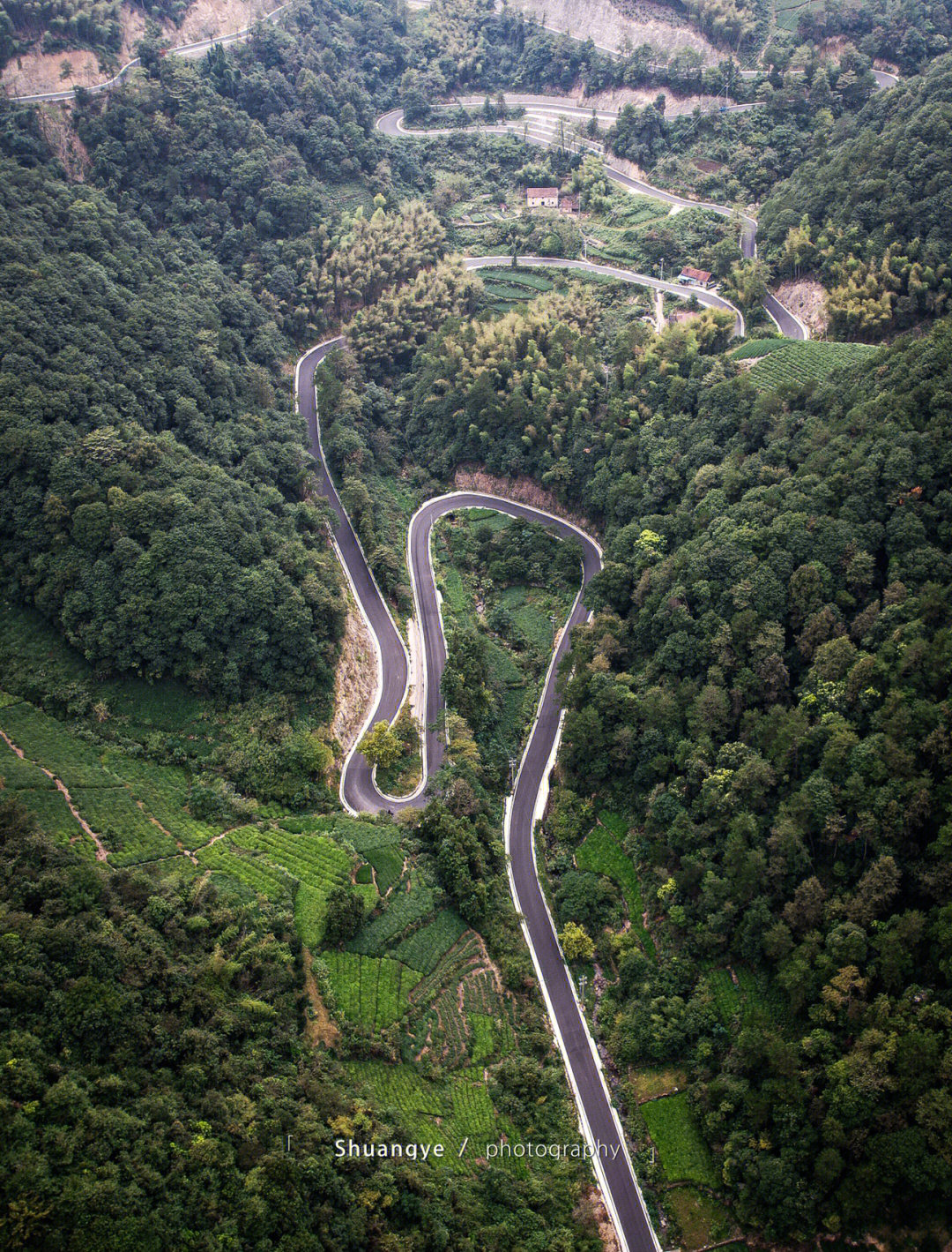 绍兴最美公路图片