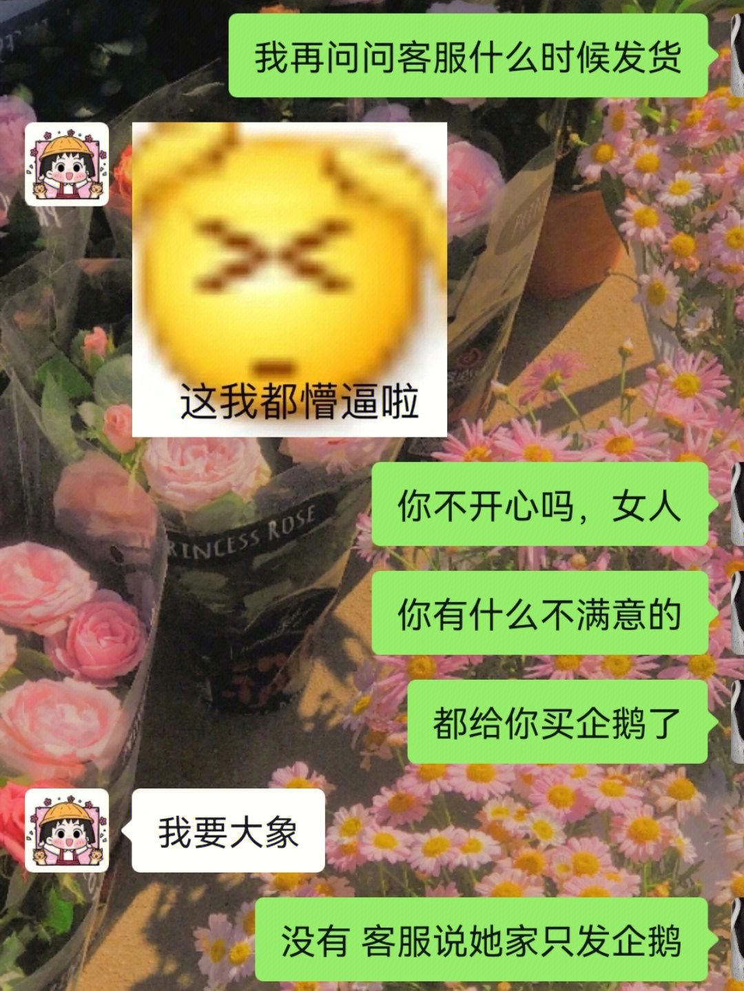 拜托,有一只会写作业的企鹅超酷的妈妈再也不用担心我们的学习了@枚鹿