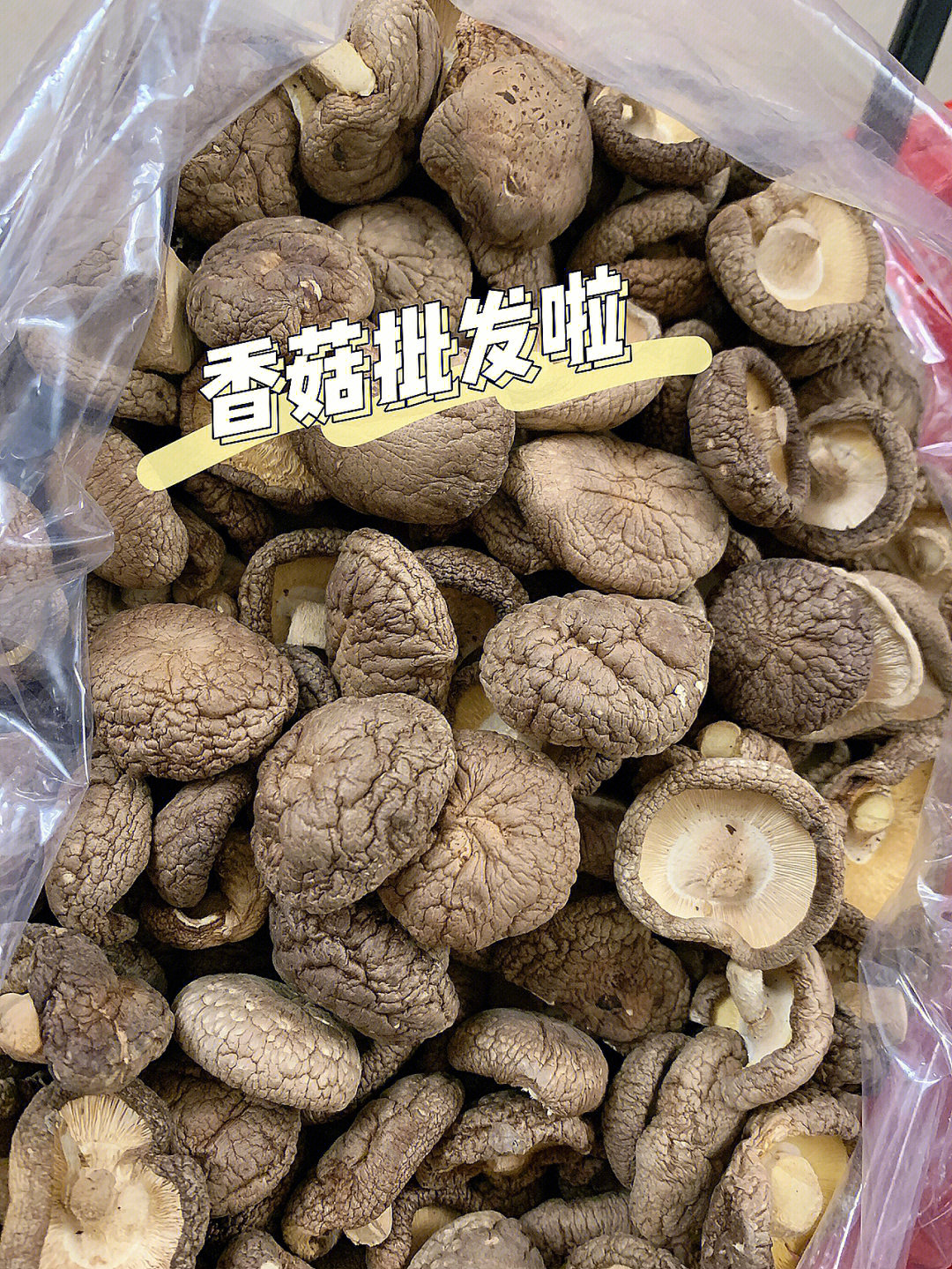 香菇批发啦