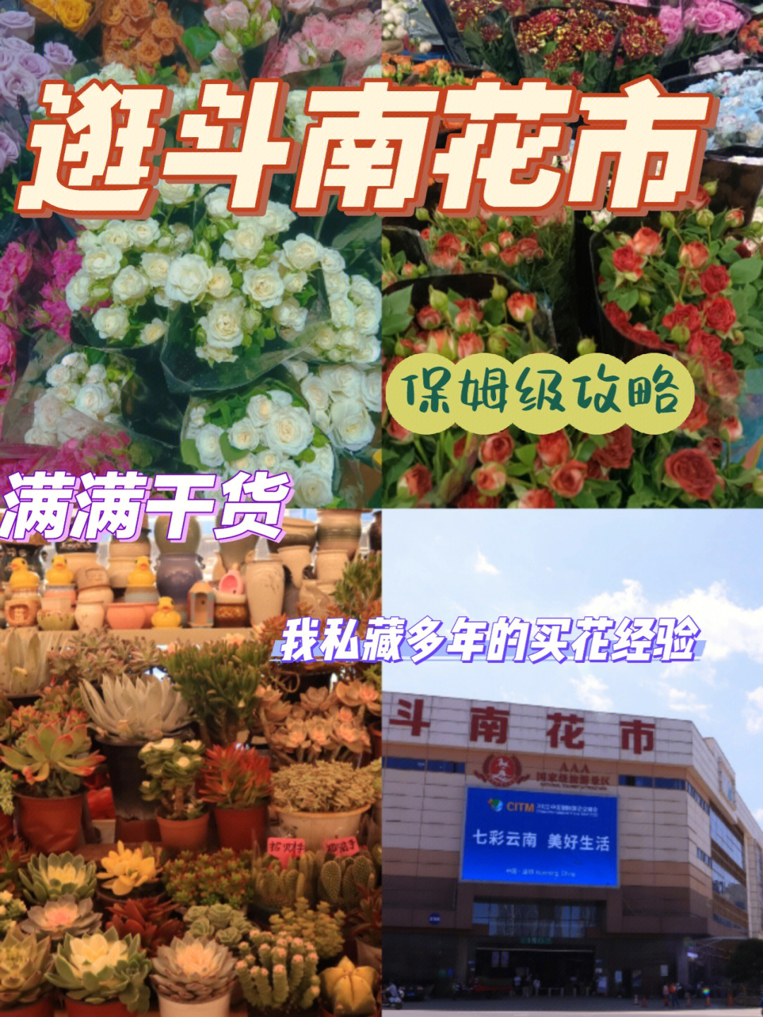 事项6015来云南一定要去一次斗南花市作为亚洲最大的鲜花交易市场